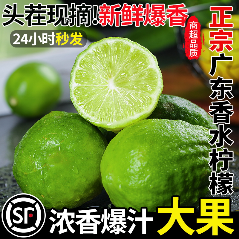 广东香水柠檬新鲜正宗青柠檬无籽大果随机快递当季水果奶茶店专用