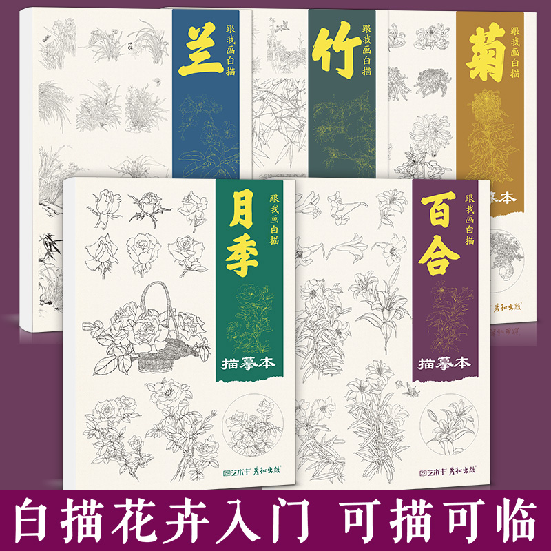 白描花卉练习可描可临高清线稿