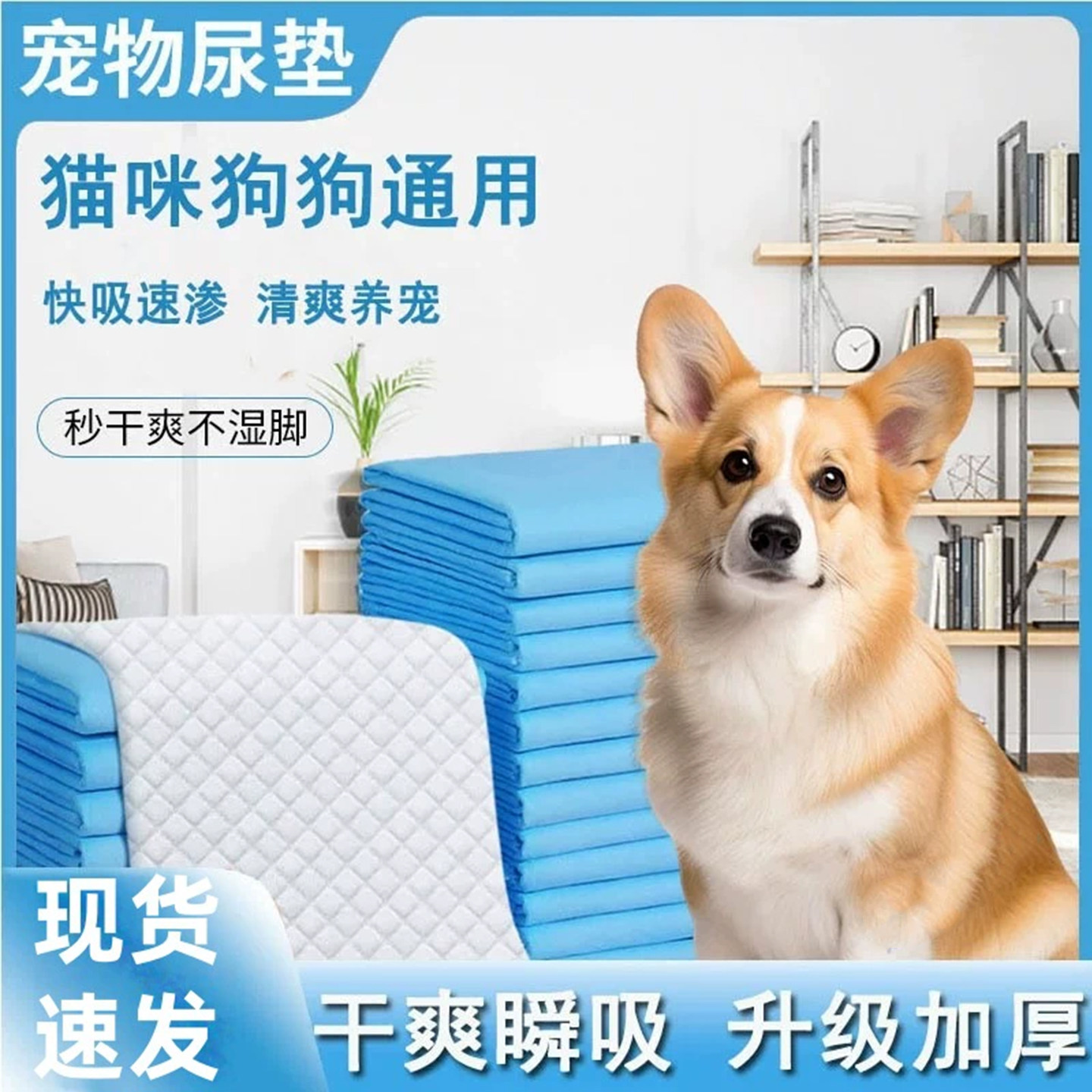 宠物一次性尿垫狗狗猫咪诱导尿片