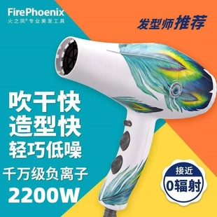 火之凤8960电吹风机发廊专用美发理发店发型师正品 负离子吹风筒店