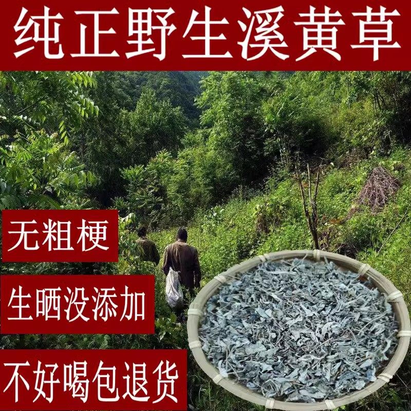 【今年新货】正宗野生溪黄草中药材益肝中草药凉茶火旺熬夜养生茶