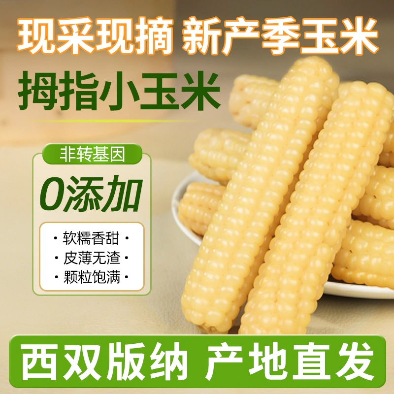 胖東來官方旗舰店云南西双版拇指玉米婴儿新鲜有机白糯香甜早餐