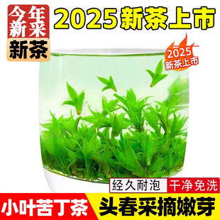 贵州野生一级小叶苦丁茶压糖脂降大血叶官方旗舰店正品有什么功效