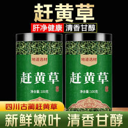 四川古蔺赶黄草北京护中药材肝茶野生的功效泡茶官方旗舰店