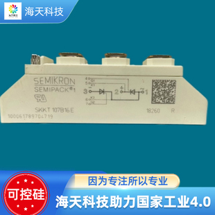 可控硅模块SKKT 107B16E 议价