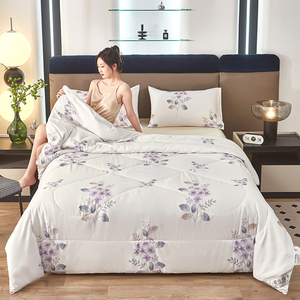 S出口正品蚕丝被桑蚕丝被秋冬被加厚保暖冬季被芯被子（没枕套）