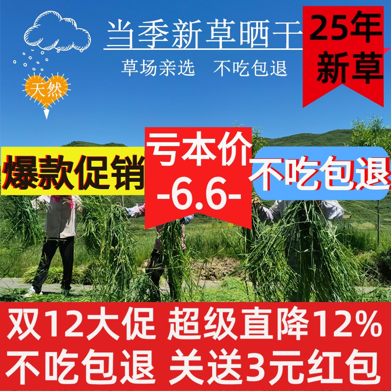 新晒干提摩西草成年兔子草荷兰猪