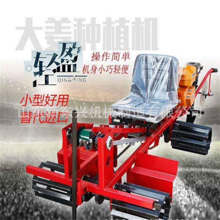 全自动大姜种植机 深浅株距可调大姜播种机 种姜机