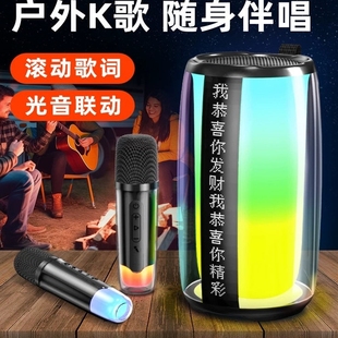Newmine/纽曼 K19音响户外音箱k歌无线蓝牙低带歌词话筒一体麦克