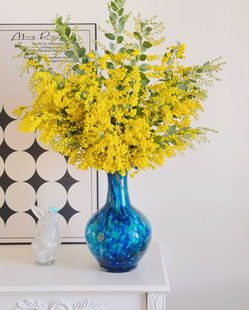 金合欢鲜切花云南昆明鲜花基地直发鲜花年宵花花束鲜切花顺丰快递