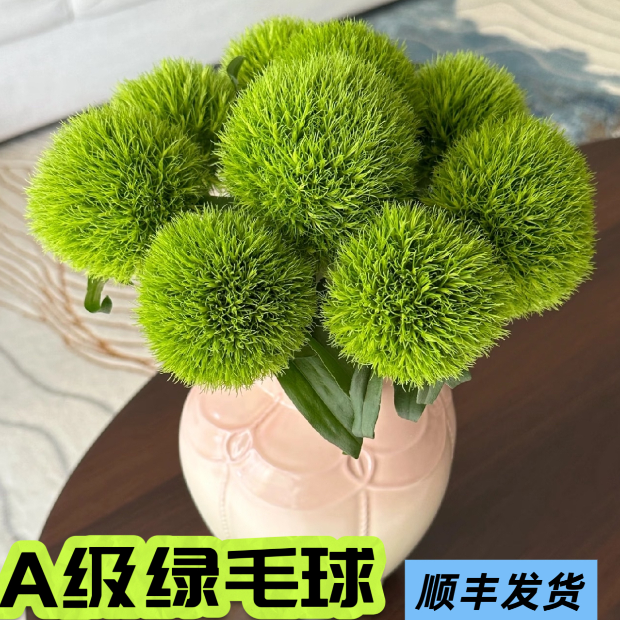【绿毛球】云南鲜花云南基地直发鲜切花家庭水养鲜切绿色超长花期