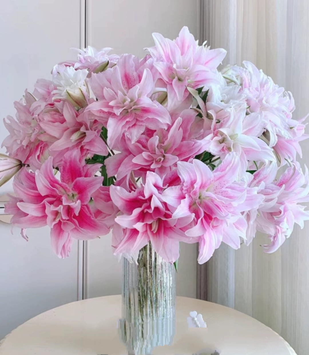 伊莎贝拉重瓣香水百合鲜切花云南昆明基地直发一单也包邮