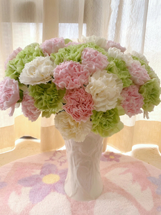 送闺蜜康乃馨鲜花云南昆明水养鲜花鲜切花插花顺丰快递直发