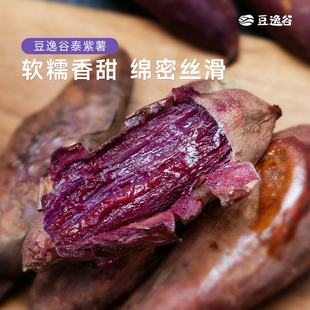 豆逸谷紫薯2025新鲜年鲜地瓜小个宁夏的沙地紫红薯泰紫薯1号4.5斤