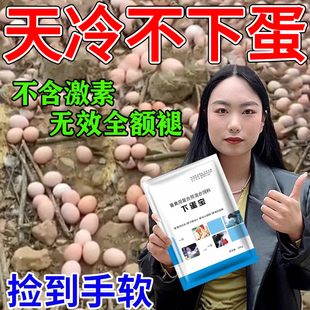 鸡下蛋专用催蛋宝增蛋宝鸡鸭鹅产蛋增产饲料鸡不下蛋吃什么怎么办