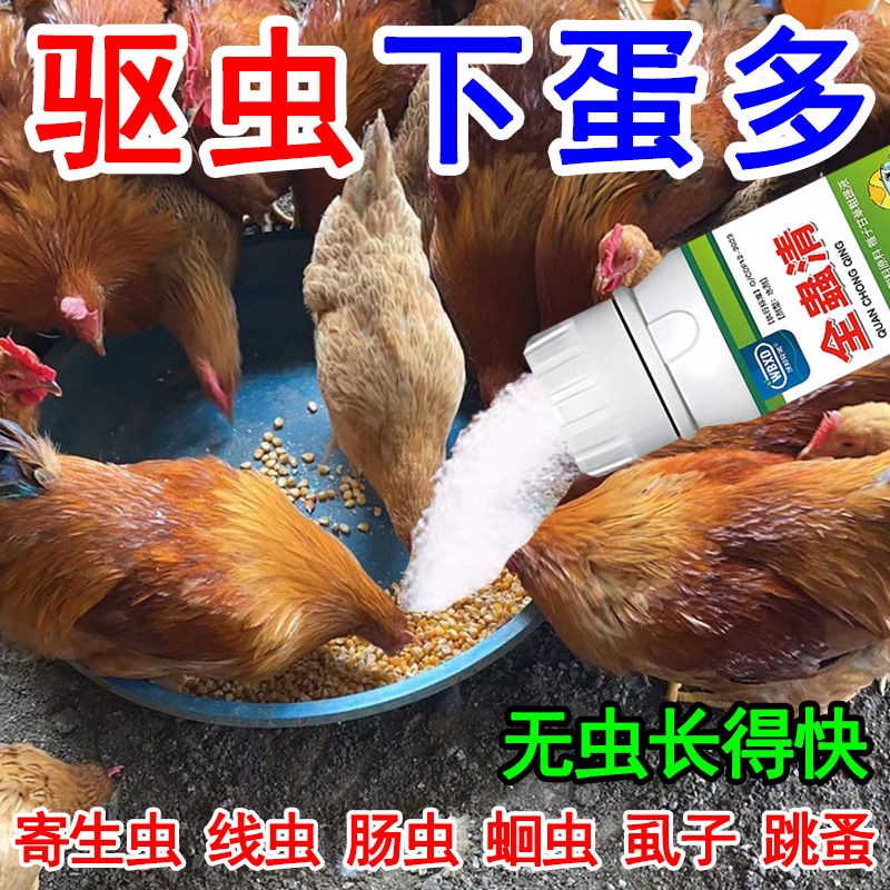 鸡驱虫药家禽体内外肠虫清全虫清鸡鸭鹅肠道蛔虫球虫线虫驱虫药
