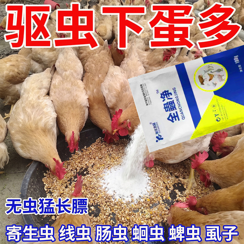正品全蟲清鸡鸭鹅养殖禽畜用饲料添加剂内外双驱孕畜可用兑水拌料 - 实物图
