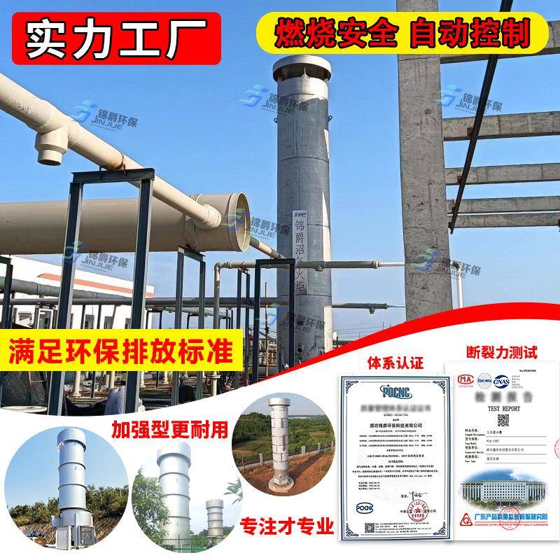 沼气火炬全自动内燃外燃式养殖场污水处理厂垃圾填埋场低氮火炬