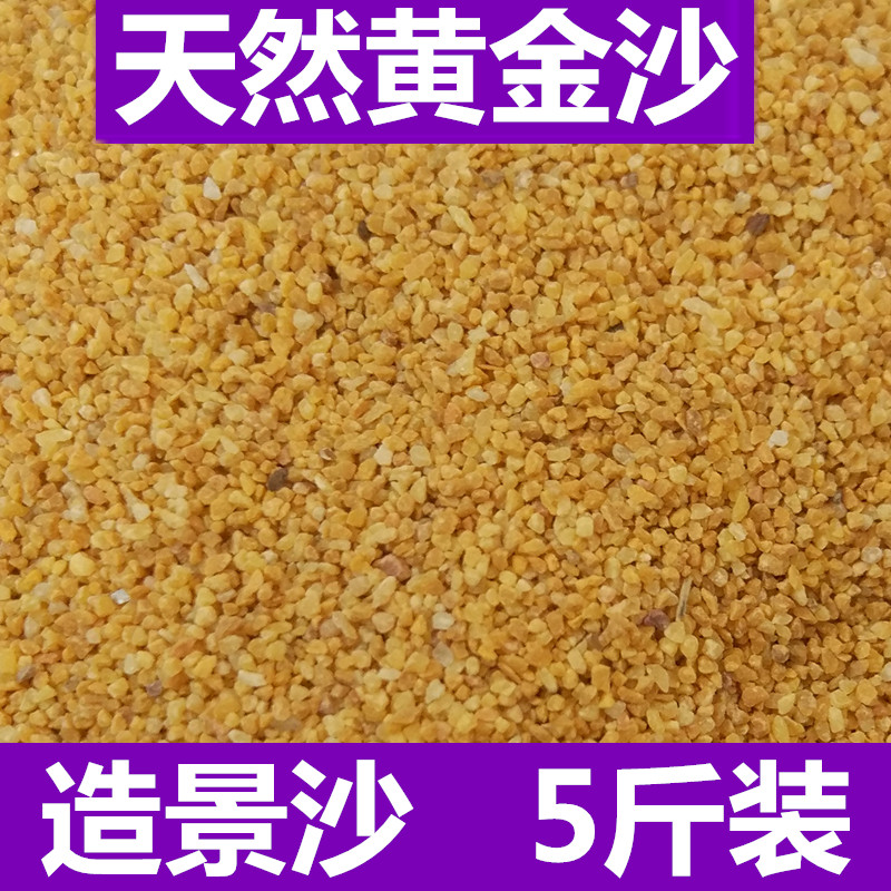 黄金沙石英砂底鱼缸造景装饰