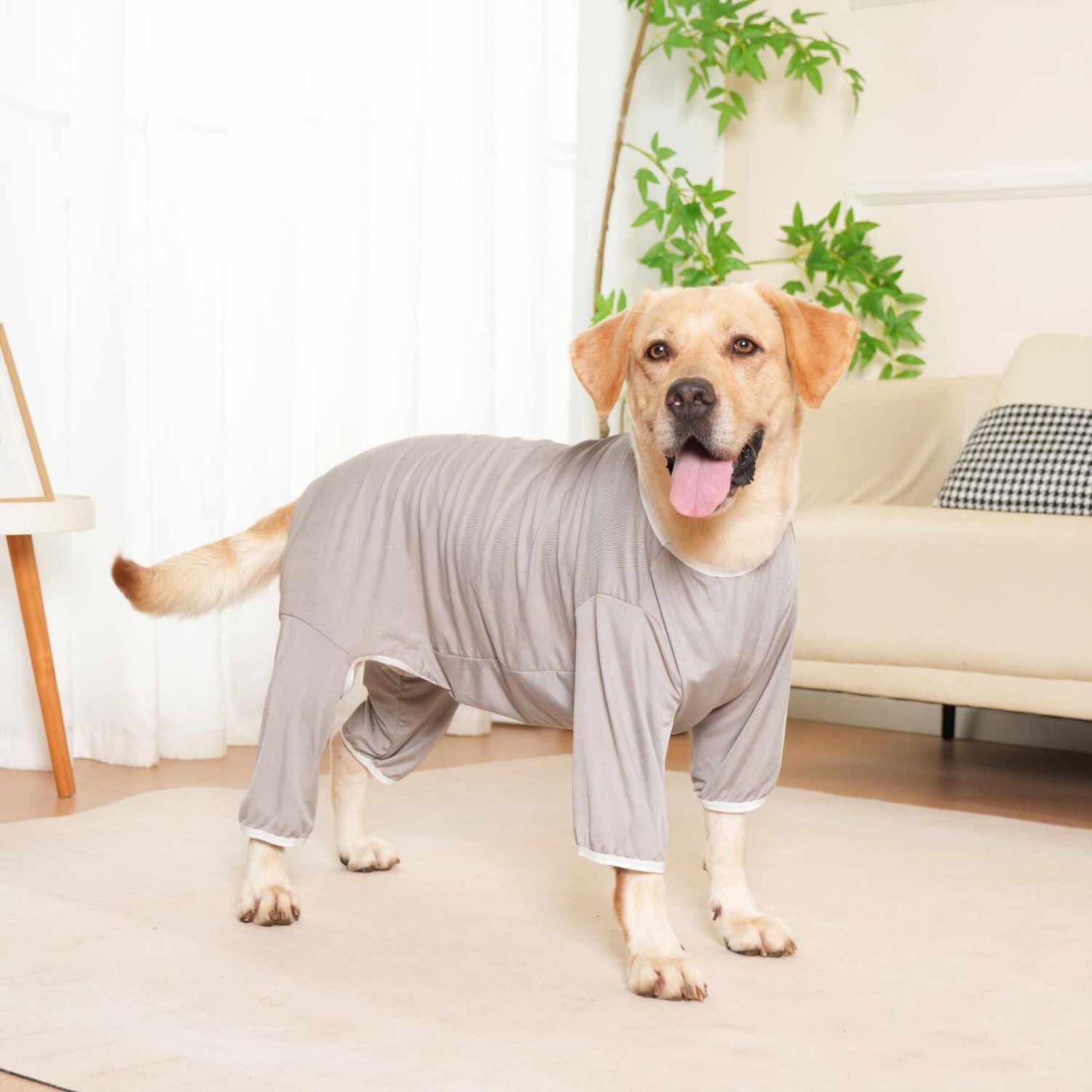 四季狗狗弹性四脚衣防脏防掉毛剃毛护理睡衣柴犬拉布拉多金毛