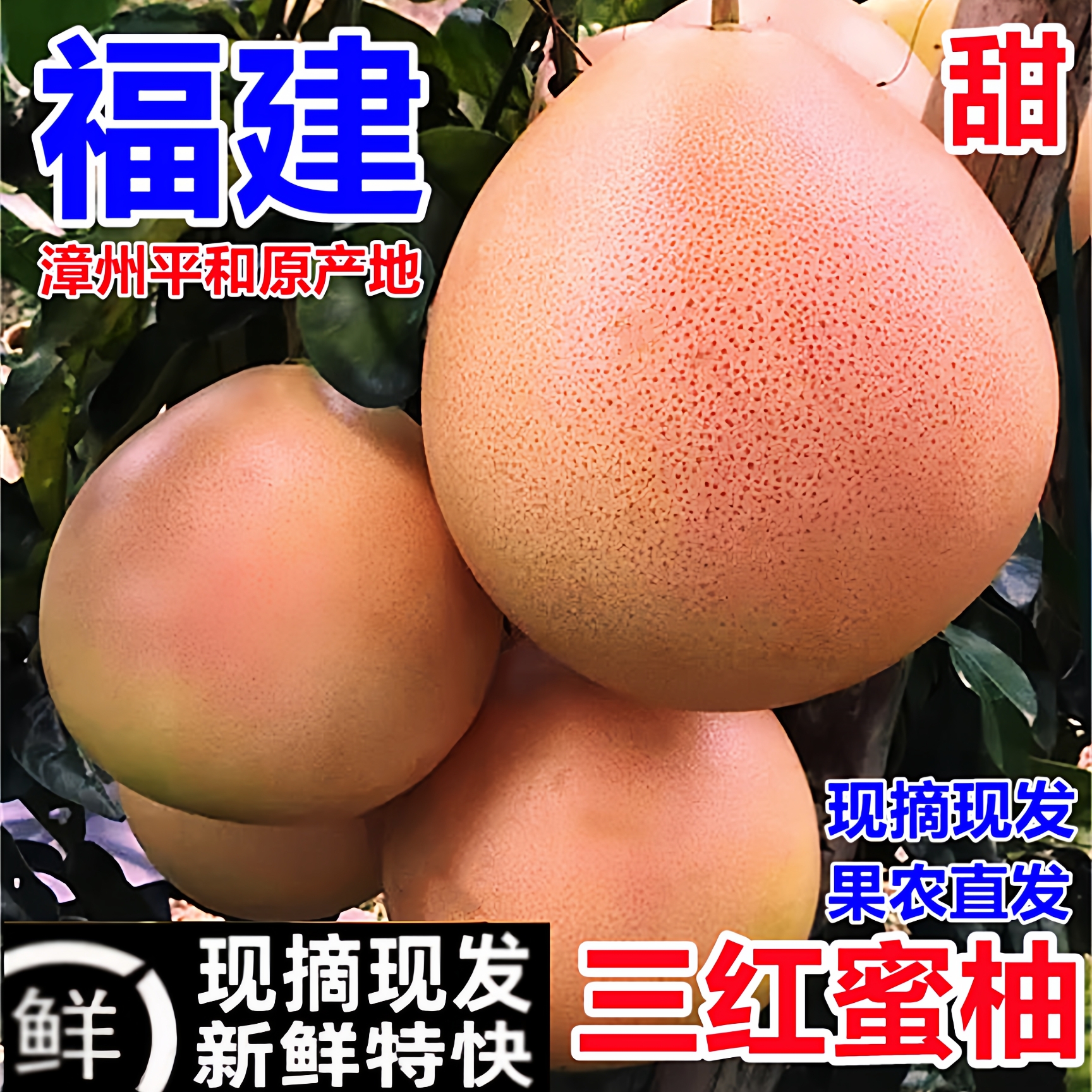 【万人回购】正宗三红蜜柚汁水足