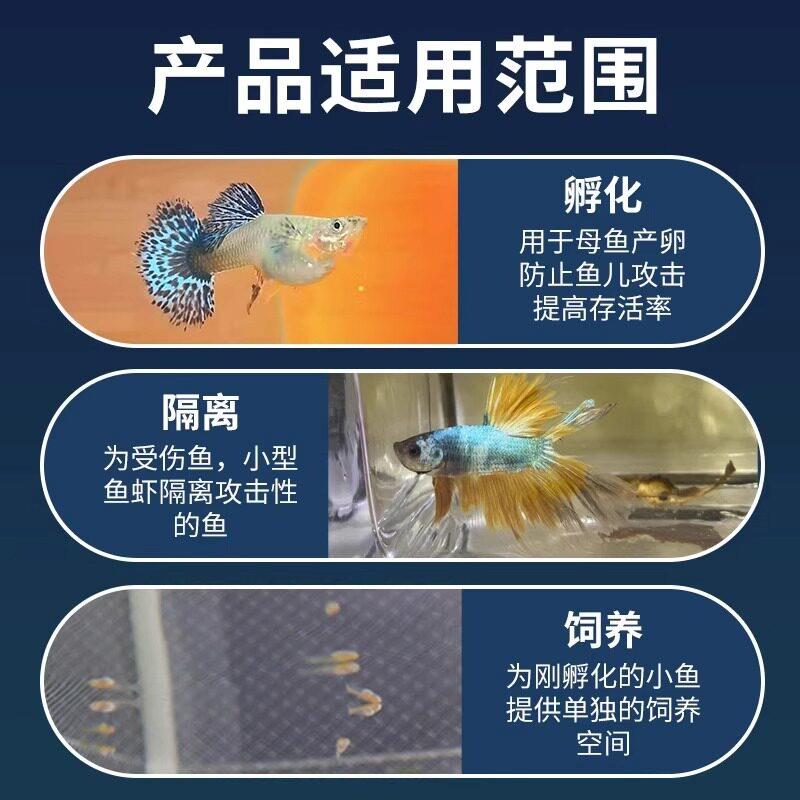 鱼缸隔离网隔离盒孔雀鱼繁殖盒斗鱼孵化器繁殖箱悬浮式分离网图片