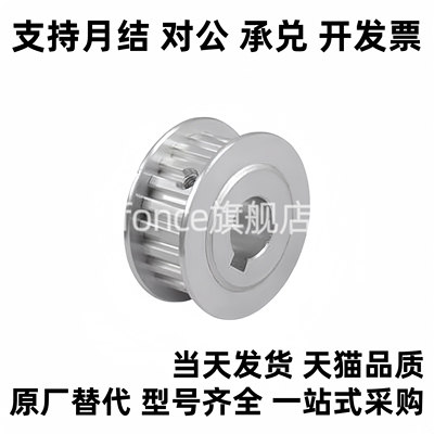 同步带轮TTPA16/20/22/24/25/28/30 T10150/200/250/300-A-P/N同