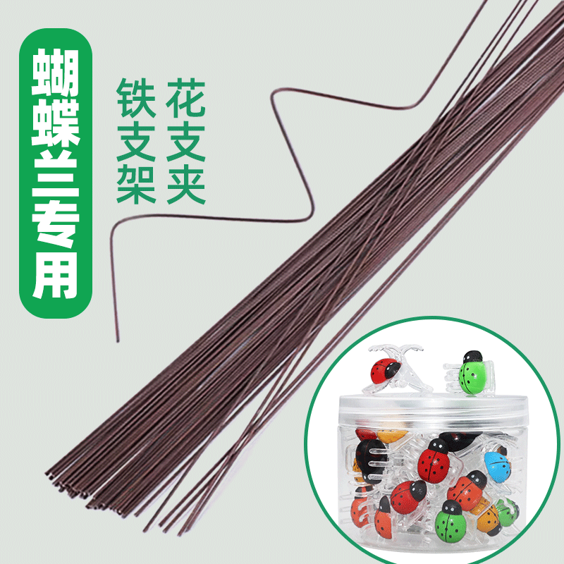 花固定夹爬藤植物花蝴蝶兰夹子兰花支架铁线莲花枝夹山乌龟爬藤架