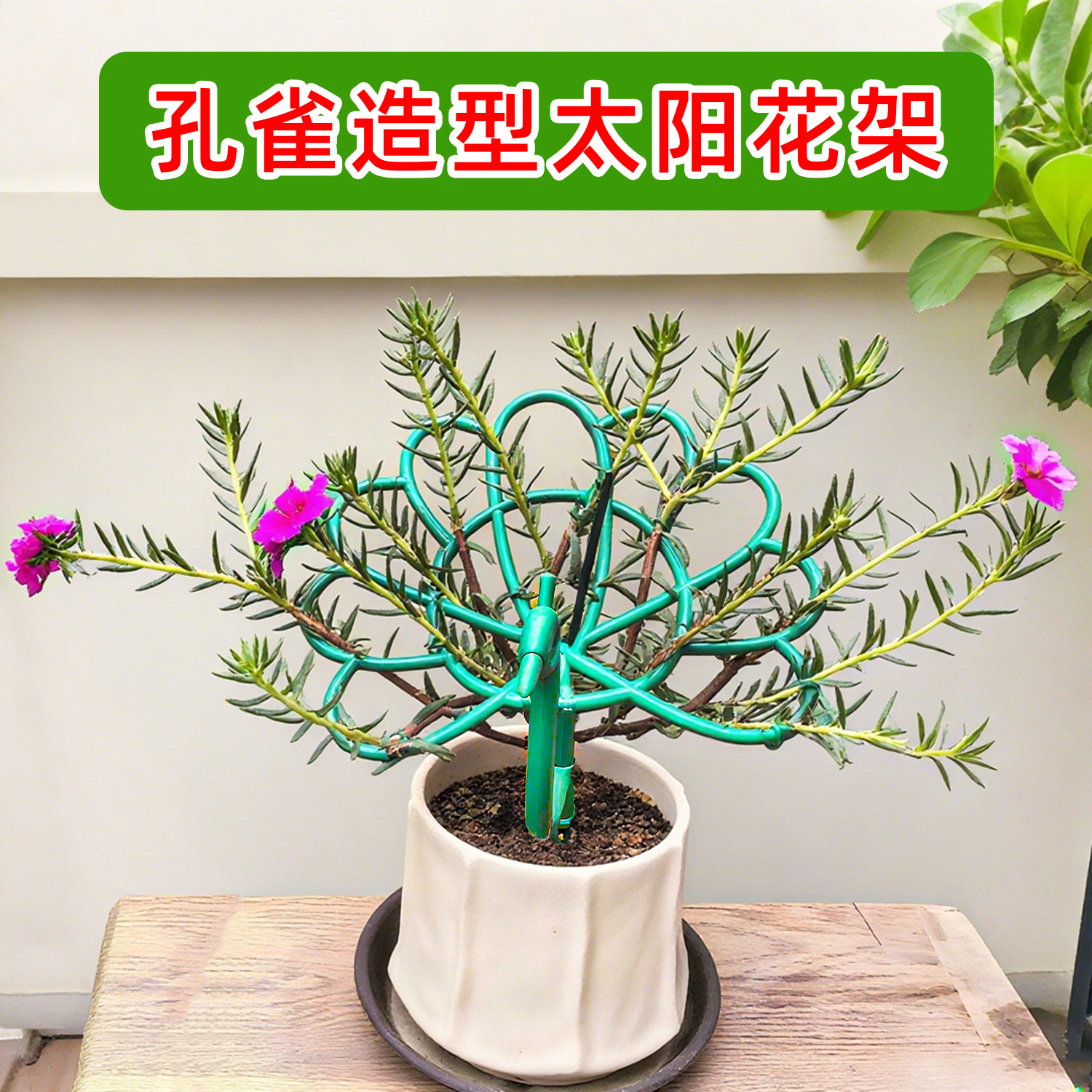 园艺太阳花支撑架孔雀造型花架子阳台花卉太阳花蟹爪兰专用固定器