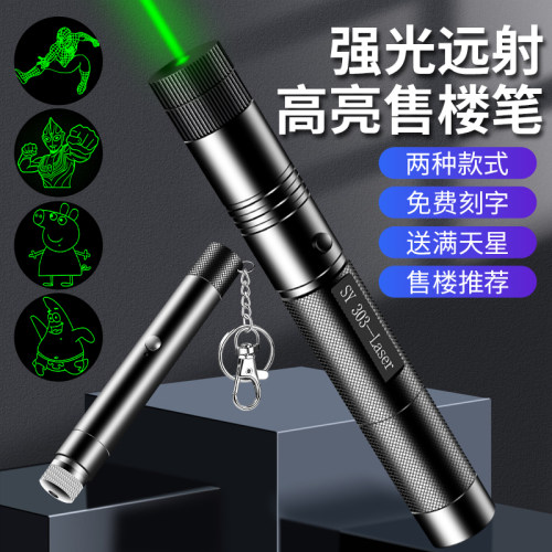 强光大功率远射绿色手电筒逗猫棒