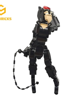 SETbricks美剧主角猫女周边形象模型摆件小颗粒拼装积木益智玩具