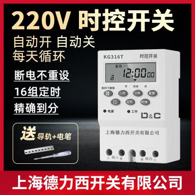 上海德力西开关220V时控开关路灯招牌灯水泵定时器家用全自动循环