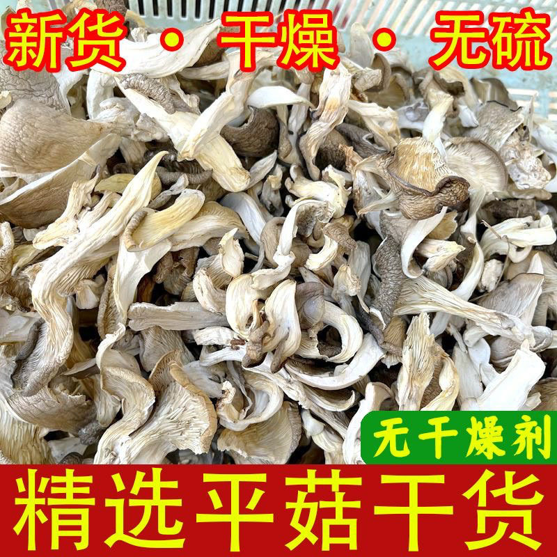 新货农家平菇干货煲汤火锅