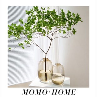 MOMO 简约马醉木花瓶大肚玻璃透明客厅插花摆件落地