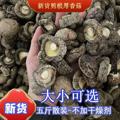 香菇干货新鲜商用散装净重五斤