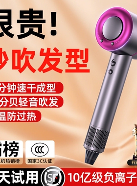 德国权尚】电吹风机家用大风力负