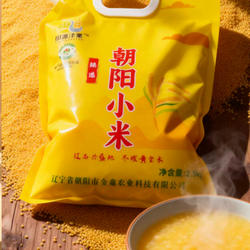 田源泽粟 2025年新米辽朝阳黄小米5斤农村自产原粮 建平产地直发