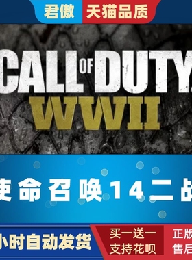 Steam PC正版 游戏 使命召唤14 使命召唤二战 Call of Duty WWII