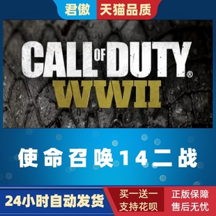 使命召唤14 使命召唤二战 Call Steam Duty 游戏 WWII PC正版