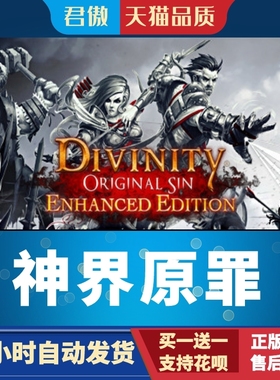 Steam PC正版 游戏 神界原罪 Divinity: Original Sin - Enhanced
