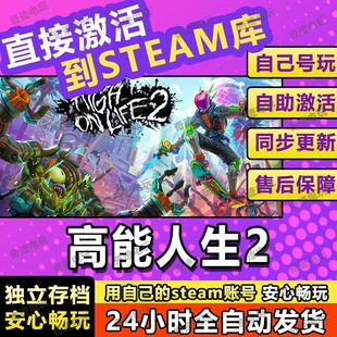 Steam正版国区key 高能人生2 High On Life 2 激活码入库 秒发