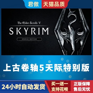 Steam PC正版 游戏 上古卷轴5天际特别版 The Elder Scrolls V: S