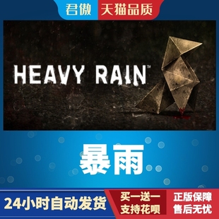 暴雨 游戏 Heavy Rain Steam 君傲数码 PC正版