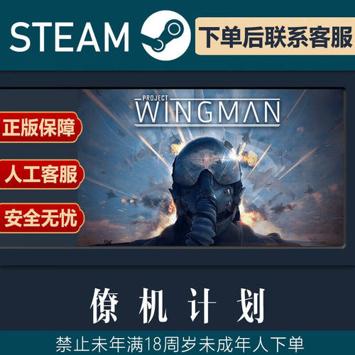 steam正版 僚机计划 Project Wingman 国区激活码cdkey现货秒发