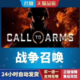Steam PC正版 游戏 战争召唤 Call to Arms 君傲数码