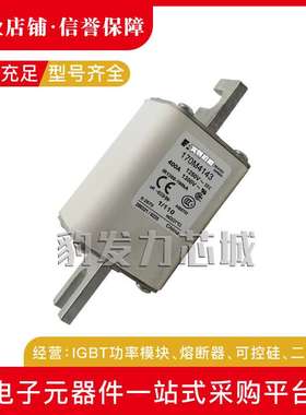 170M4158/4159/4160/4161/4162/4163/4164/65/66/67/68/69熔断器