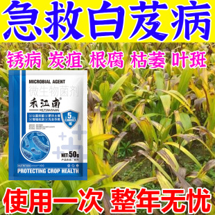 白芨专用药白芨病菌清黑斑软腐病炭疽病灰霉病黄锈病除专用杀菌剂