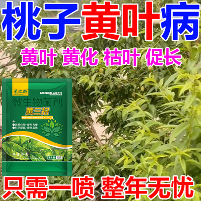 桃树黄叶病果树黄化修复剂柑橘黄化黄龙病喷雾修复剂农用黄化灵