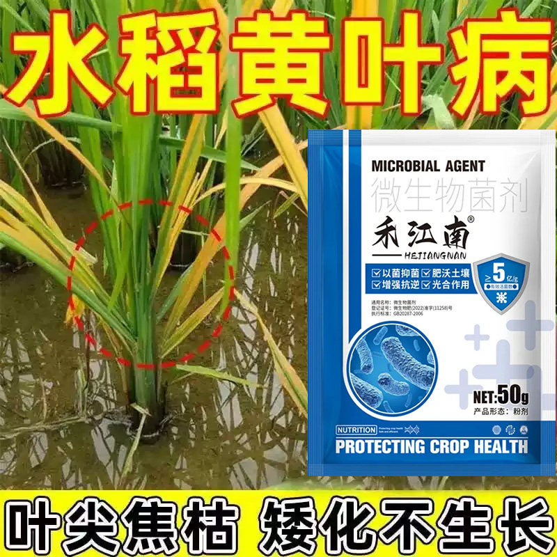 水稻稻瘟病稻曲病纹枯病矮缩病水稻病全治黄叶病秧苗防病药专用药