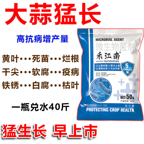 大蒜病菌清大蒜尖黄叶枯紫斑白粉病大蒜专用杀菌剂蒜菌清原液